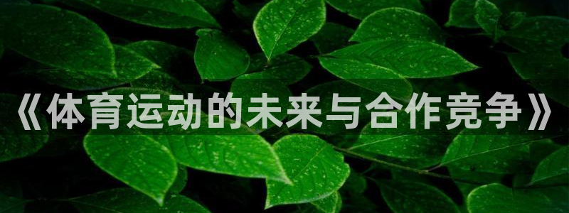米兰体育靠谱吗：《体育运动的未来与合作竞争》