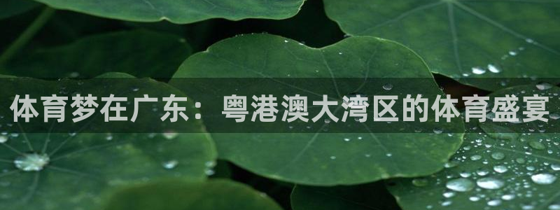 米兰体育下载官网最新版：体育梦在广东：粤港澳大湾区的体育盛宴