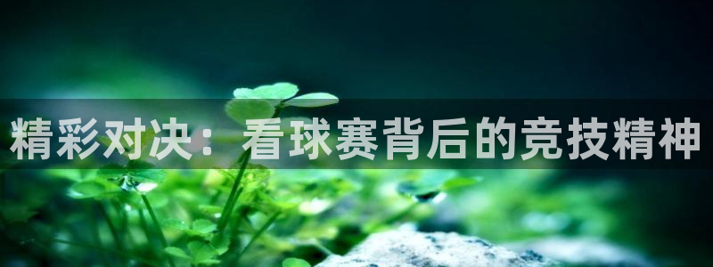 米兰体育网址：精彩对决：看球赛背后的竞技精神