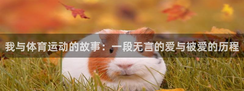 米兰体育综合官网：我与体育运动的故事：一段无言的爱与被爱的历程