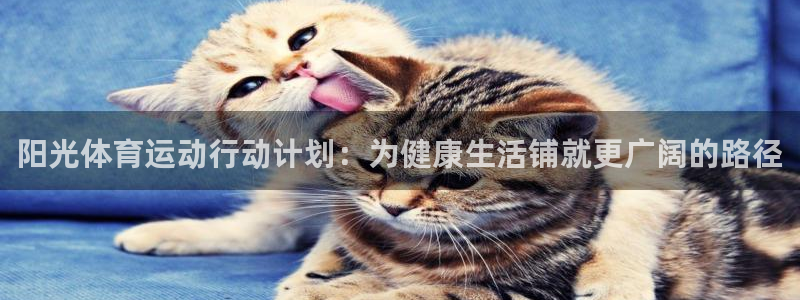 米兰体育网页版：阳光体育运动行动计划：为健康生活铺就更广阔的路径