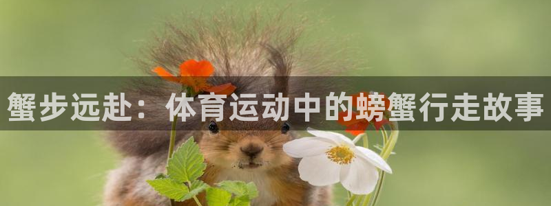 米兰体育网站：蟹步远赴：体育运动中的螃蟹行走故事